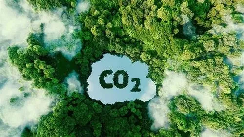 Thị trường carbon chính thức vào giai đoạn vận hành thử