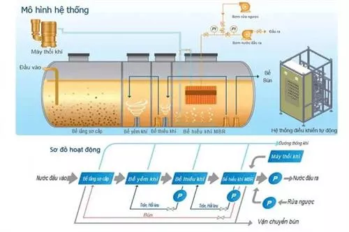MBR technology in wastewater treatment: Principles and applications